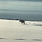 Trivelig Pa Arnes, Senja Dom wakacyjny *