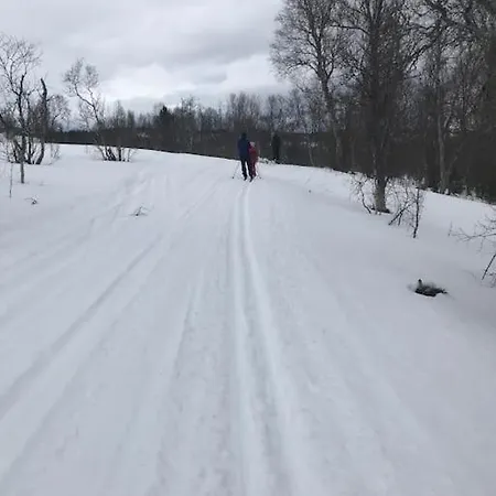 Trivelig Pa Arnes, Senja