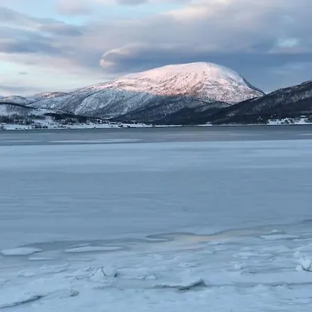 度假居 Trivelig Pa Arnes, Senja *