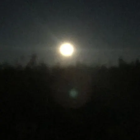 Trivelig Pa Arnes, Senja