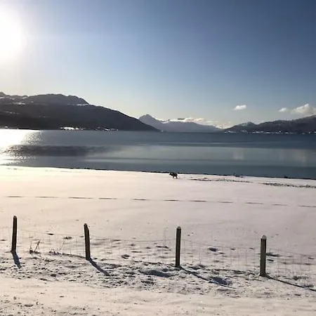 Trivelig Pa Arnes, Senja 度假居